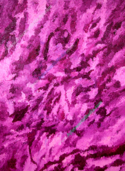 Raspberry Parade Fine Art